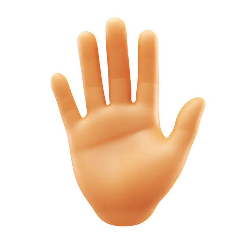 Palm Image